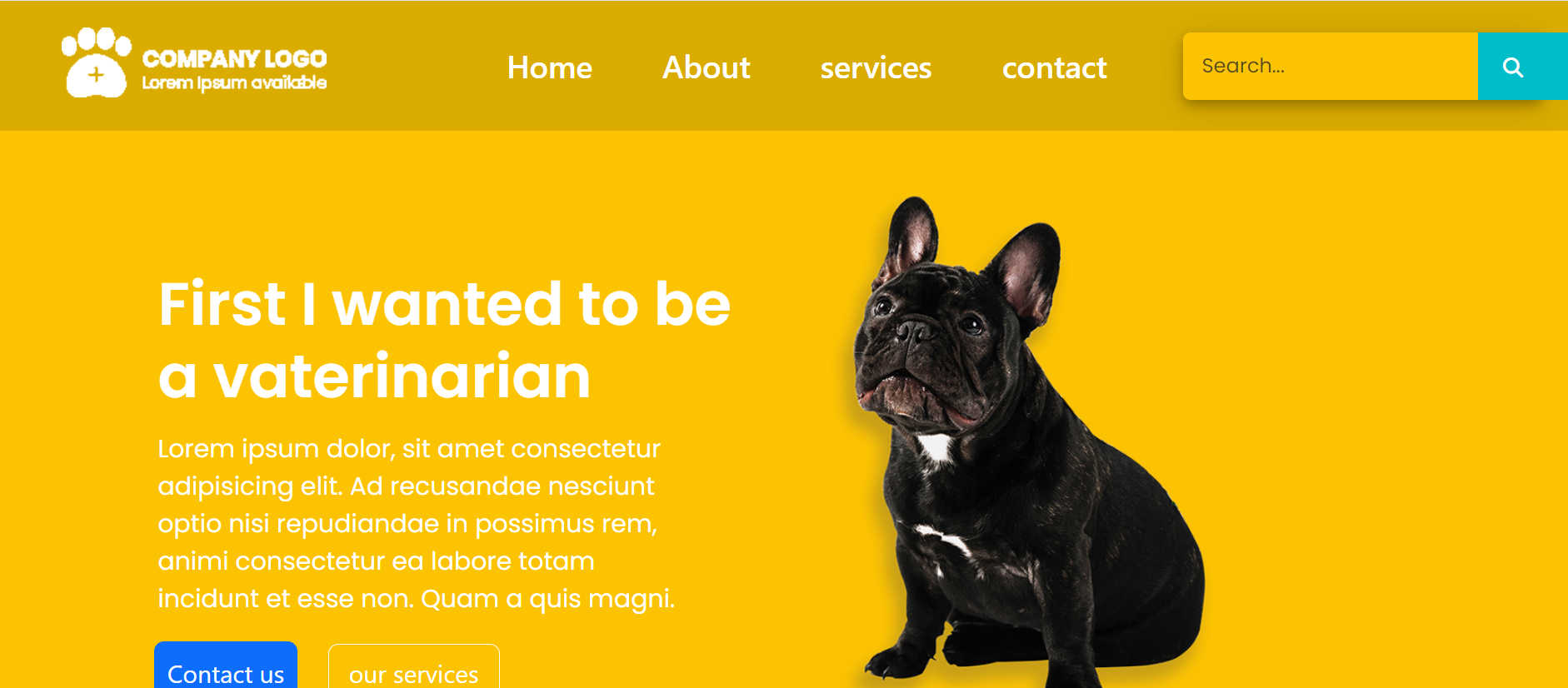 website-img
